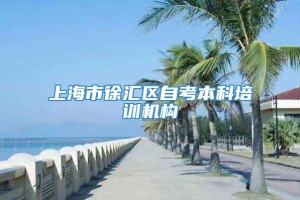 上海市徐汇区自考本科培训机构