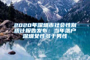 2020年深圳市社会性别统计报告发布：当年落户深圳女性多于男性
