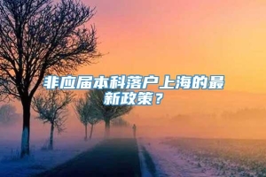 非应届本科落户上海的最新政策？
