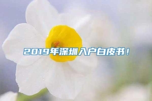 2019年深圳入户白皮书！